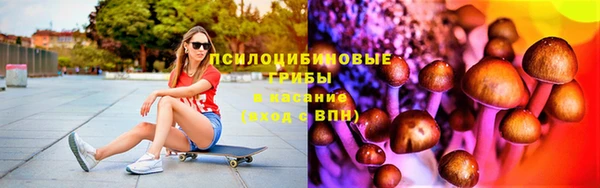 индика Беломорск