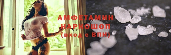 индика Беломорск