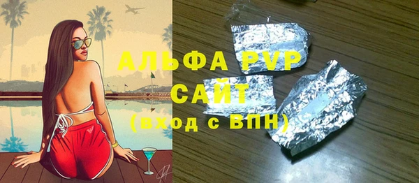 индика Беломорск