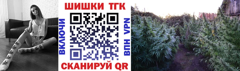 купить наркоту  MEGA ссылки  Канабис конопля  Барыш 